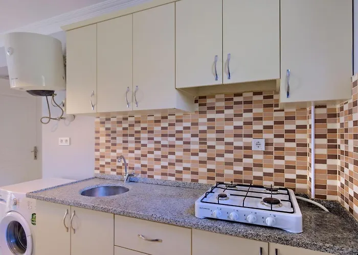 Gold Lion Ξενοδοχείο με διαμερίσματα Ολουντενίζ