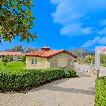 Gold Lion 4* 올루데니스