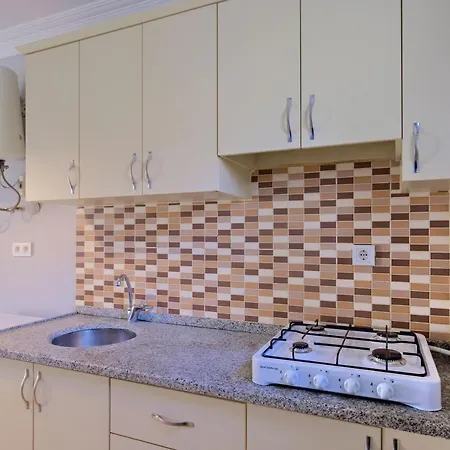 Gold Lion 아파트호텔 올루데니스