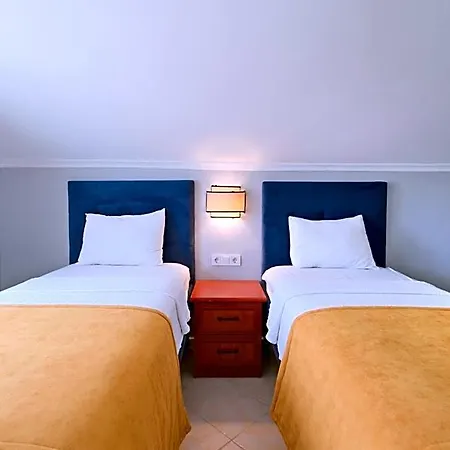 Apart Otel Gold Lion 4*