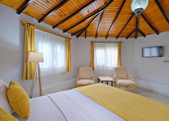 Apart Otel Gold Lion Ölüdeniz