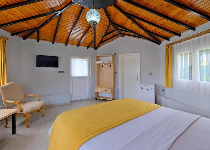 Gold Lion Apart Otel 4*