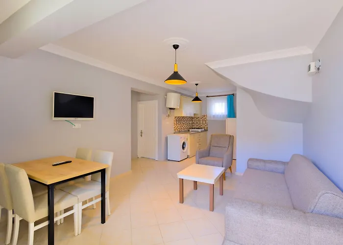 Gold Lion Apart Otel 4*